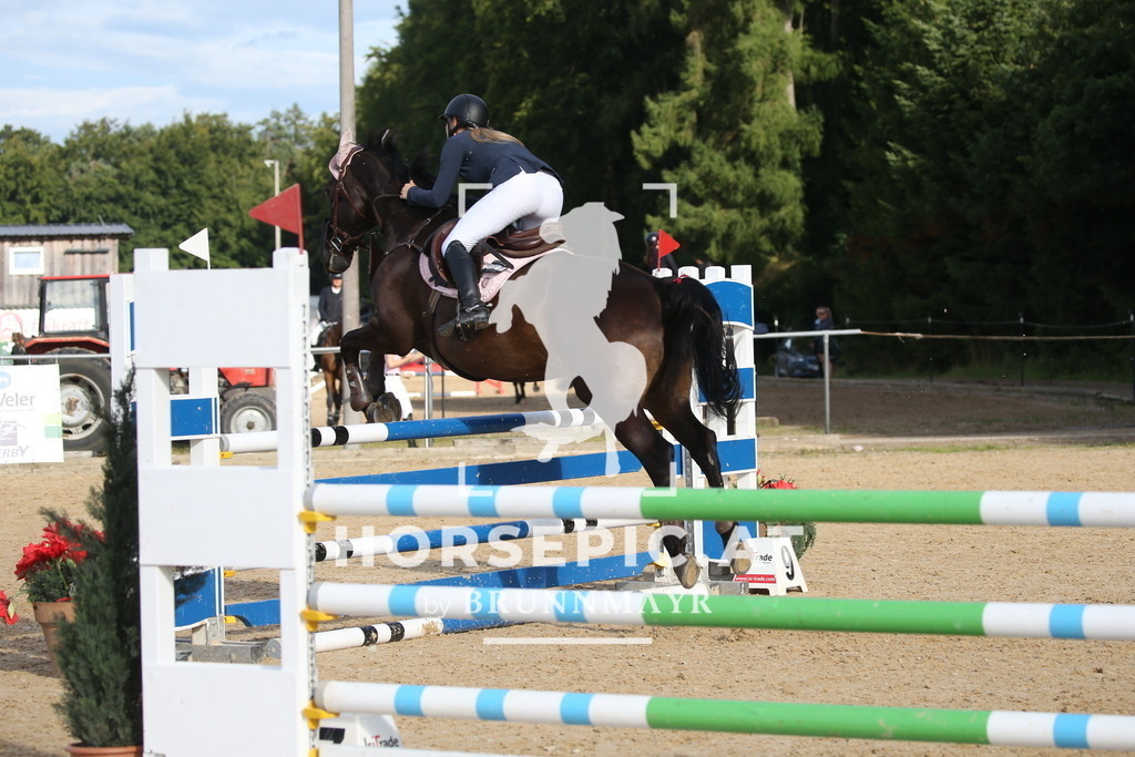 DL2Q3702 | Willkommen bei Brunnmayr - Design & Fotografie – Ihrem Spezialisten für Reitturniere und Pferdeveranstaltungen in Oberösterreich, Salzburg und Bayern! Seit über 17 Jahren sind wir leidenschaftlich dabei.