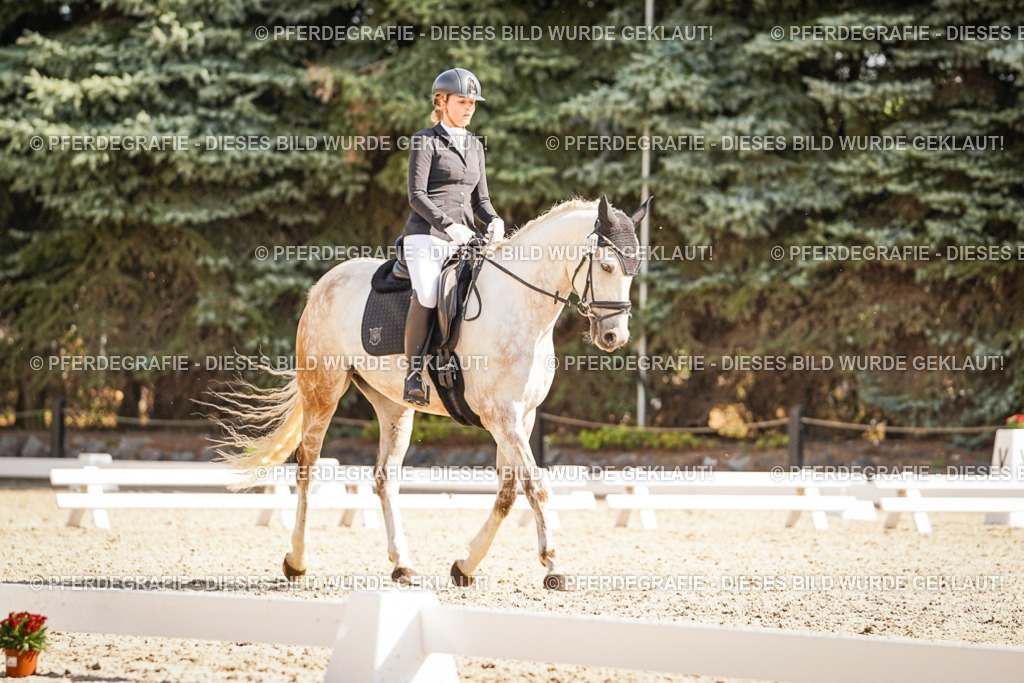 DSC00545 | Pferdegrafie