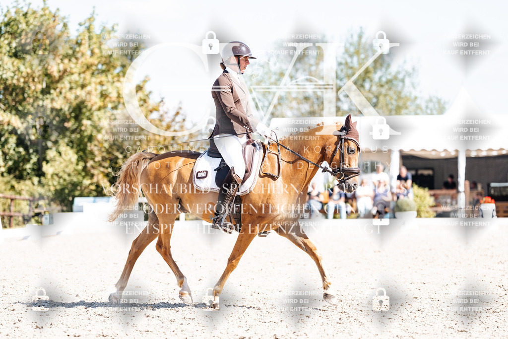 CK903692 | Turnierfotografie Pferdefotografie Trier Rheinland-Pfalz Pferdesport Reitsport Tierfotografie Sportfotografie Pferdevideo Pferdevideografie Equestrianvideography equestrianphotography  - Realisiert mit Pictrs.com