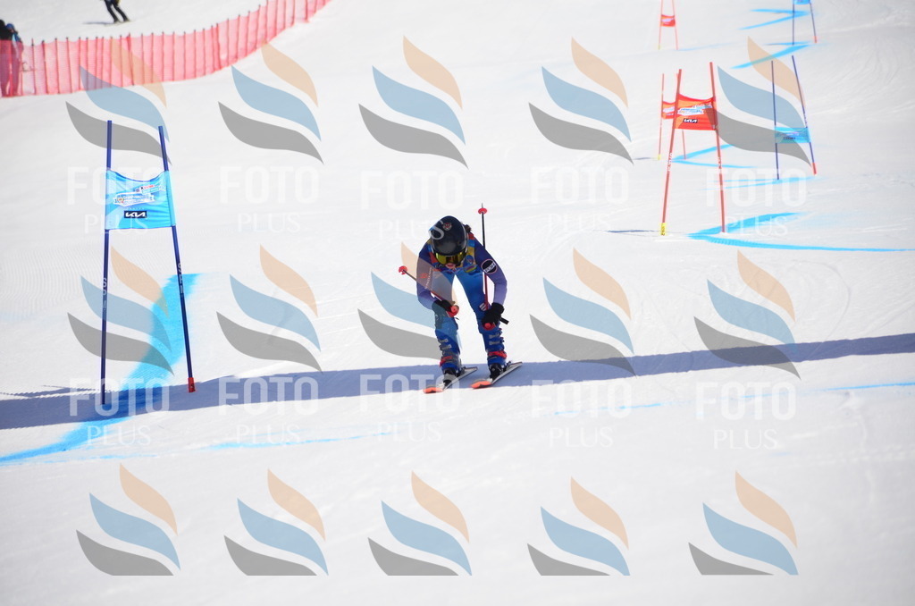 VR4_9754 | holidayphoto