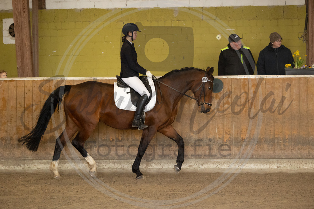 994A8621 | sabrinanicolaifotografie - Realisiert mit Pictrs.com