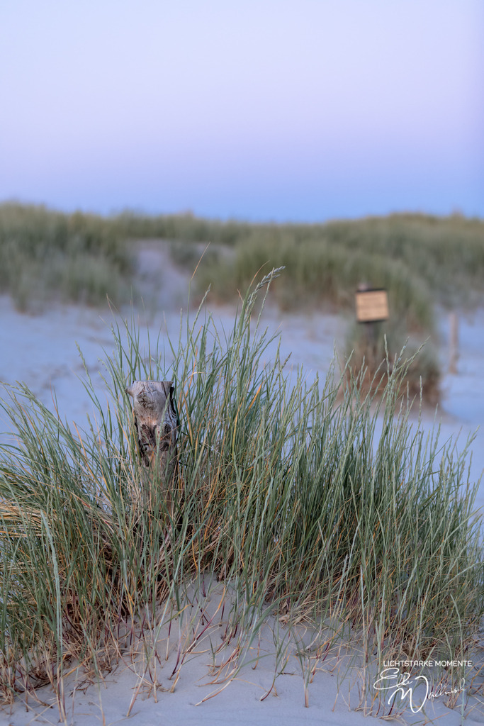20230624-215140 NORDSEE SPO _200-1 | Herzlich willkommen auf meiner Seite! Ich bin Elke Wallnisch, Deine Fotografin für lichtstarke Momente. Der Name steht für alles, was mich mit der Fotografie verbindet: Das Licht und seine machtvolle Wirkung auf eine Situation oder unsere Stimmung - Realisiert mit Pictrs.com