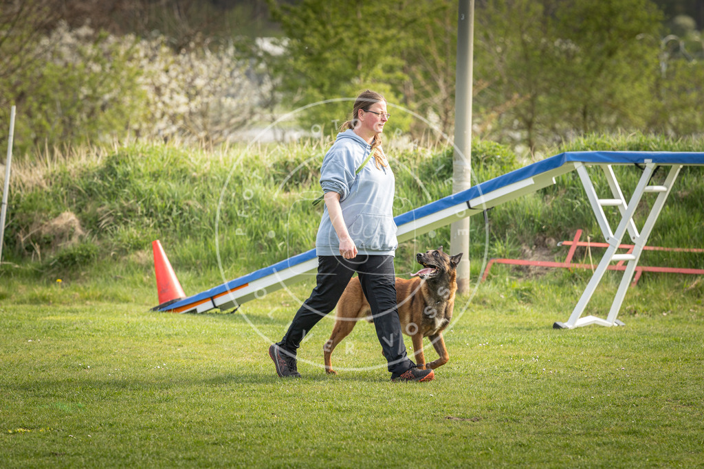 Pfotenfotografie_DV3A4969 | Hundefotografie, Tierfotograf, Pfotenfotografie, Fotoshooting Hund, Hunde Portrait, Hundesport, Hundeportraits, Heideshooting, Hunde, Sportfotograf, Hundefotograf, Turnierhundsport, THS,  - Realisiert mit Pictrs.com