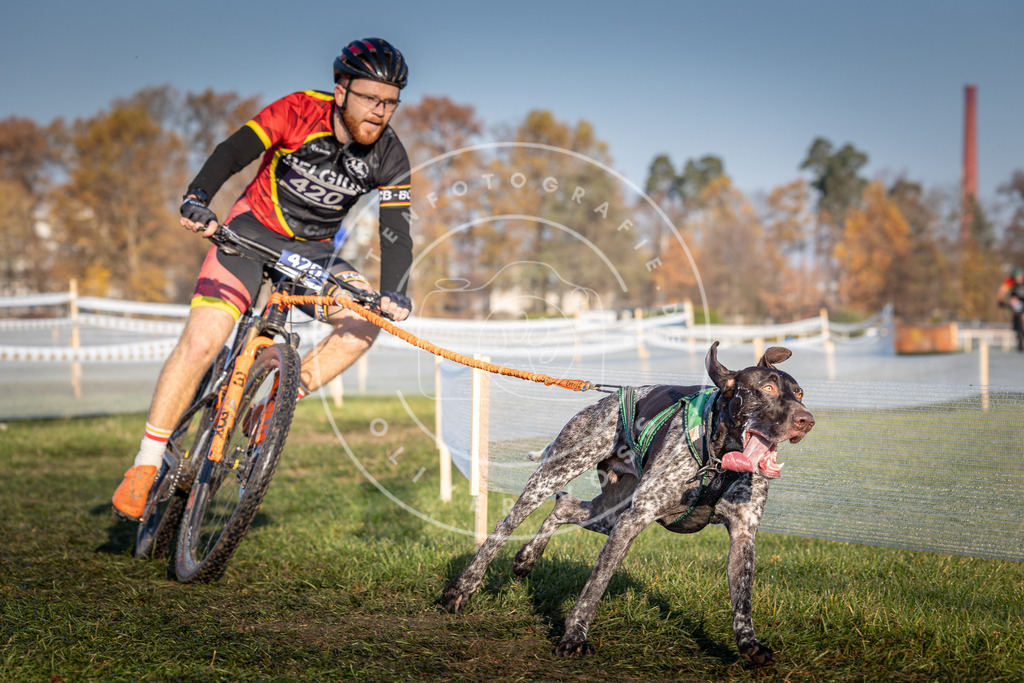 CaniXpix_0L8A4150 | Hundefotografie, Tierfotograf, Pfotenfotografie, Fotoshooting Hund, Hunde Portrait, Hundesport, Hundeportraits, Heideshooting, Hunde, Sportfotograf, Hundefotograf, Turnierhundsport, THS,  - Realisiert mit Pictrs.com