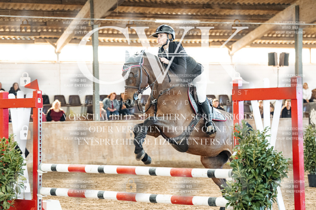 CK904398 | Turnierfotografie Pferdefotografie Trier Rheinland-Pfalz Pferdesport Reitsport Tierfotografie Sportfotografie Pferdevideo Pferdevideografie Equestrianvideography equestrianphotography  - Realized with Pictrs.com