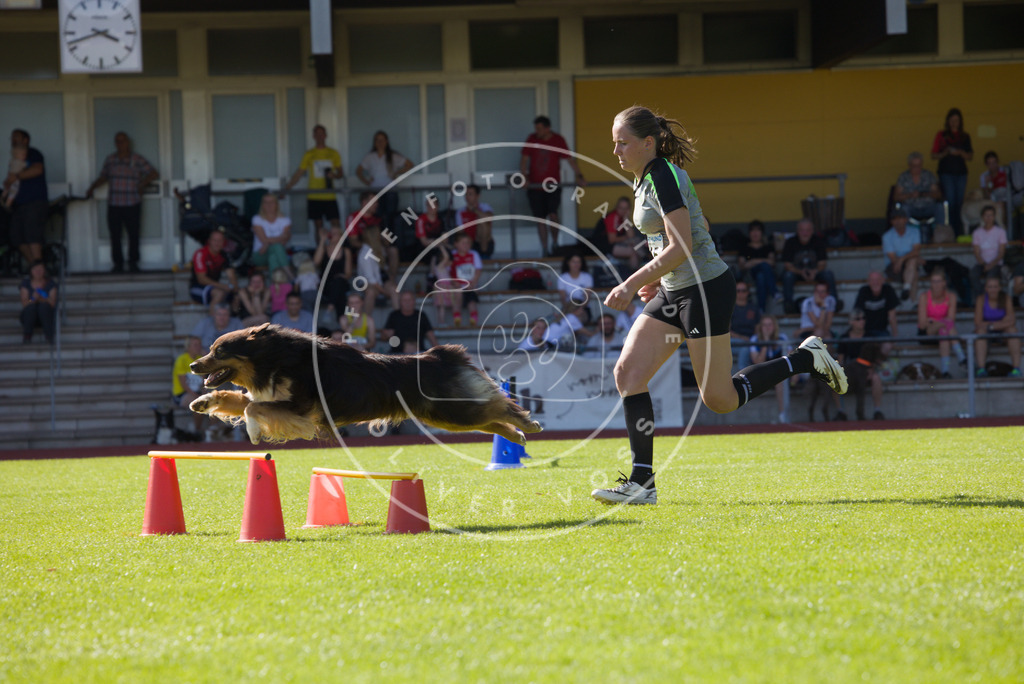 0L8A8155 | Hundefotografie, Tierfotograf, Pfotenfotografie, Fotoshooting Hund, Hunde Portrait, Hundesport, Hundeportraits, Heideshooting, Hunde, Sportfotograf, Hundefotograf, Turnierhundsport, THS,  - Realisiert mit Pictrs.com