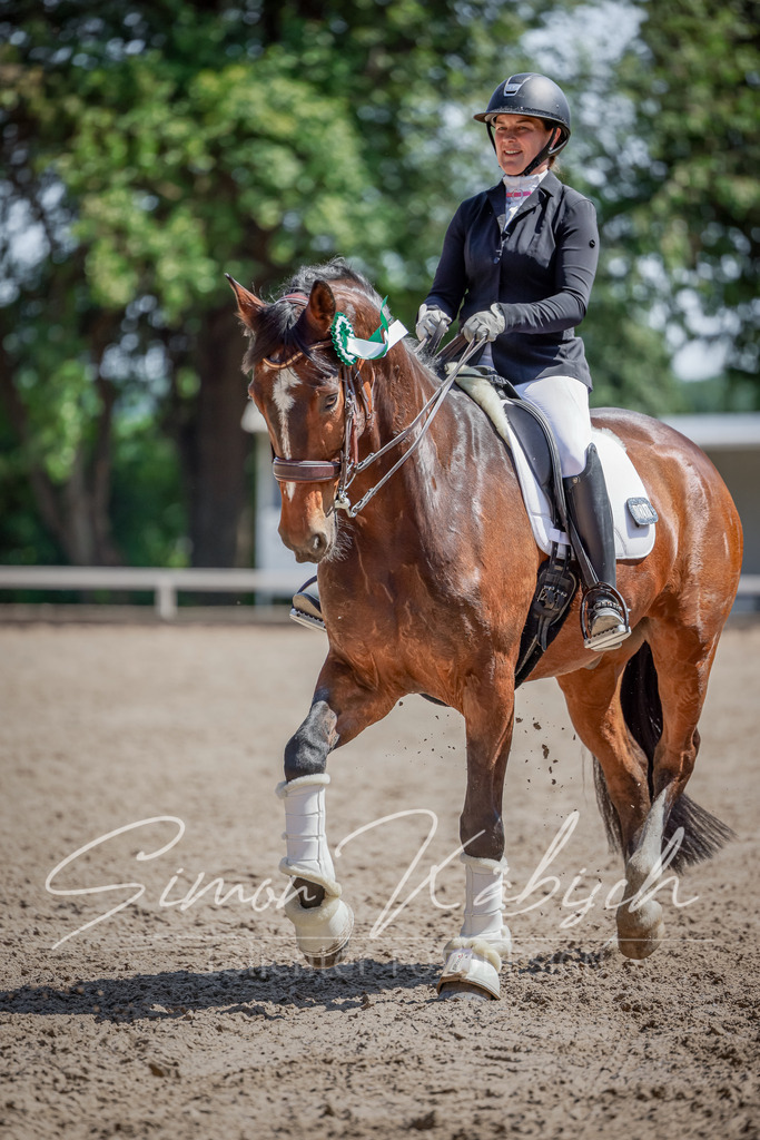 20250621-_3LI8937 | Tierfotografie Pferde, Hunde, Katzen, Haustiere.
Turnierfotografie Reitturniere, Reiten, Springreiten, Dressur in Hanau, dem Main-Kinzig-Kreis und dem Rhein-Main- Gebiet um Frankfurt