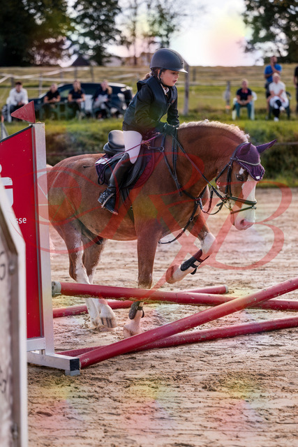 2026_10_03_Siefer-Hof_144437_Z81_18433920 | Professionelle Reitsport-, Turnier- und Eventfotografie von Robert Broda. Galerien mit ausgewählten und bearbeiteten Bildern direkt online ansehen und bestellen.