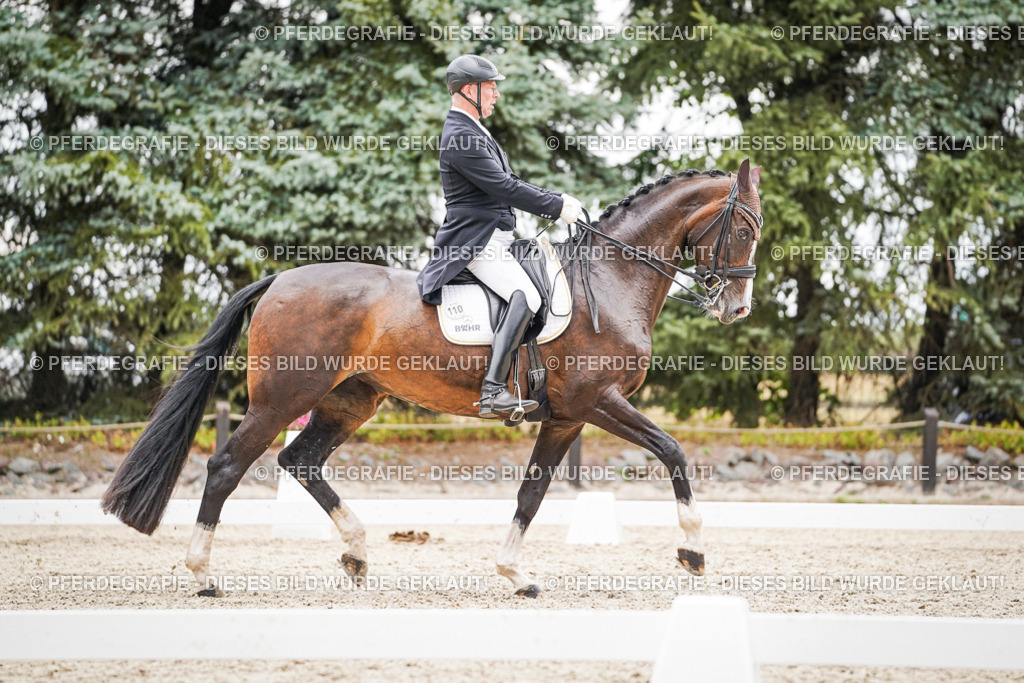 DSC06875 | Pferdegrafie