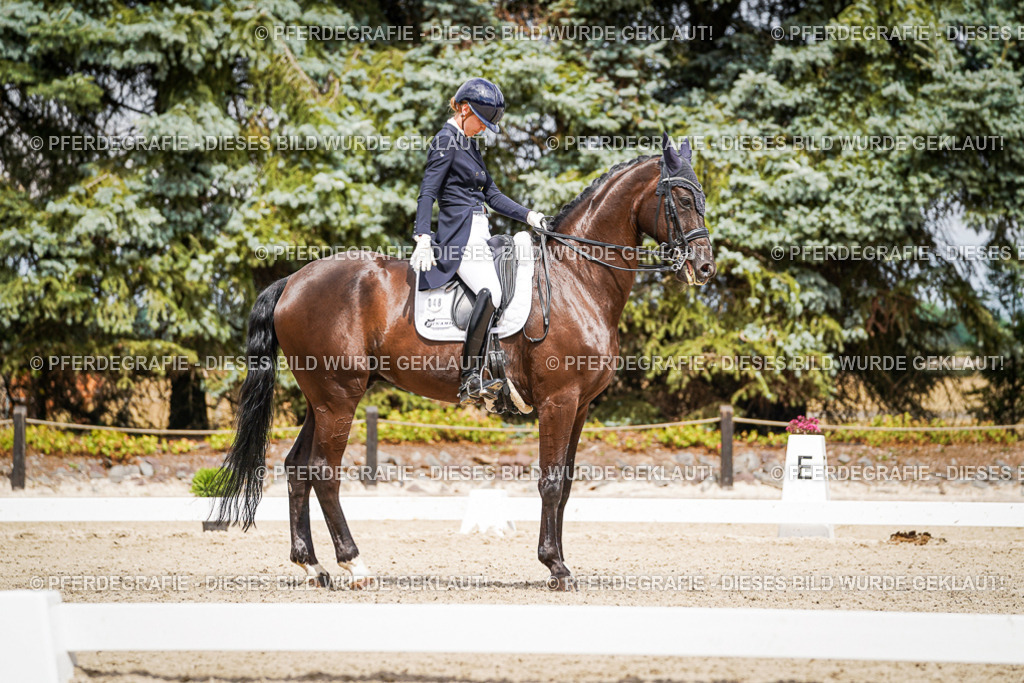 DSC06006 | Pferdegrafie