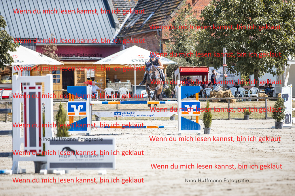 BK1A6776 | Turnierbilder Turnierfotos Nina Hüffmann Turnierfotografie Pferdefotografie Tierzeichnung Haustierzeichnung Pferdezeichnung Hundezeichnung Videograf  - Realisiert mit Pictrs.com