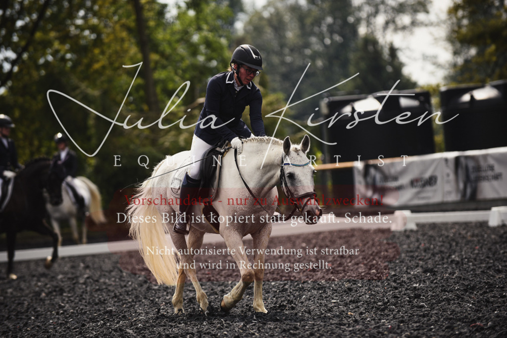 DSC_3924 | Pferde- und Turnierfotografie in Westsachsen. Pferdeportraits, Auftragszeichnungen und intuitive Kunst.