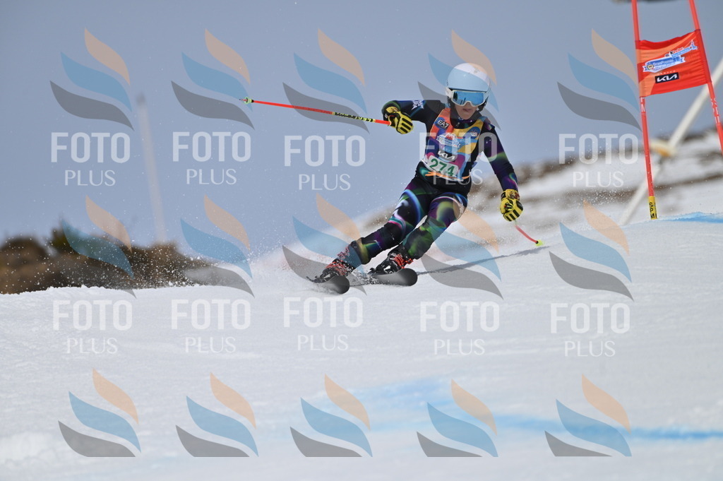 BGV_5422 | holidayphoto