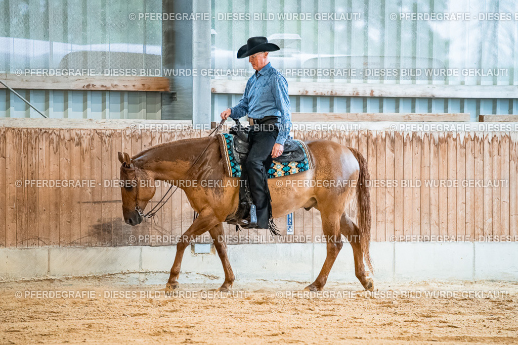 DSC00218 | Pferdegrafie