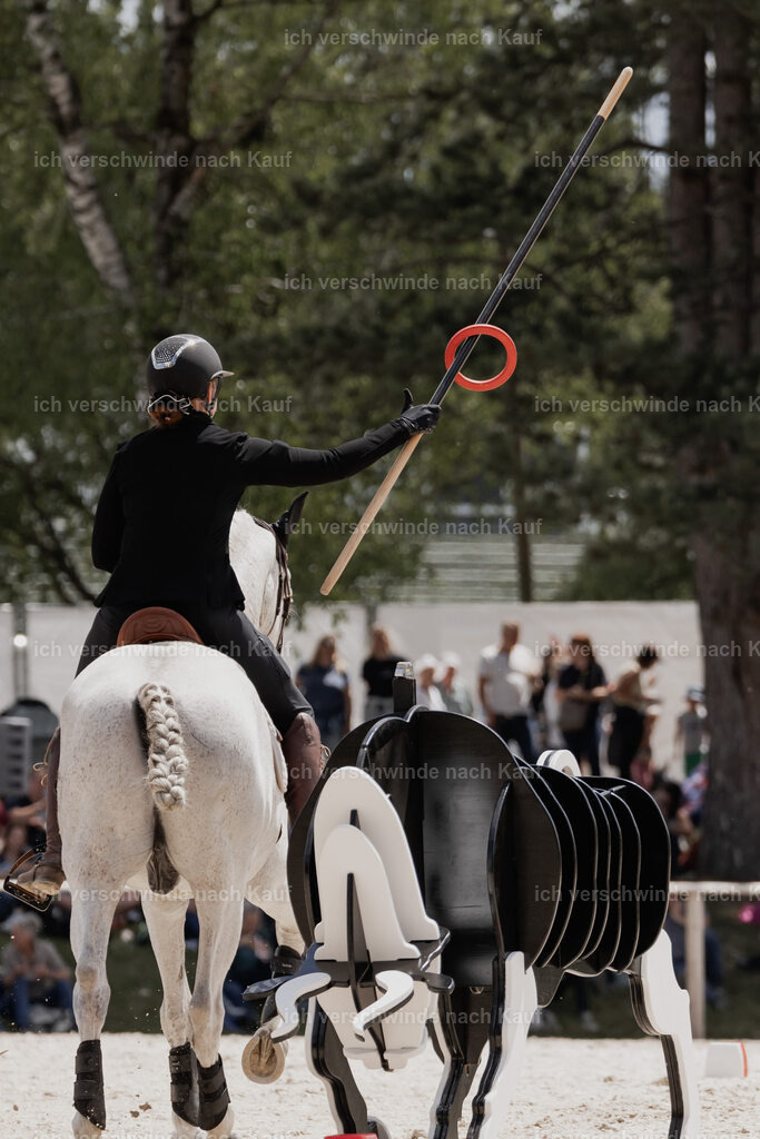 WE_ST_Stoib_312_PI2025_1077 | Pferd International München 2025