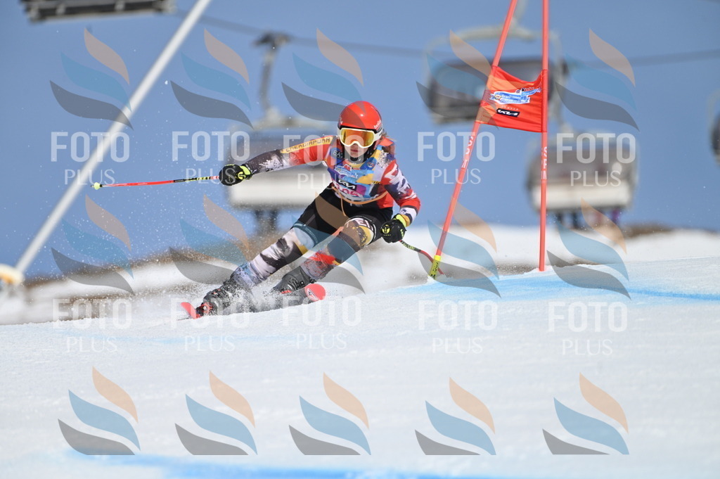 BGV_9556 | holidayphoto