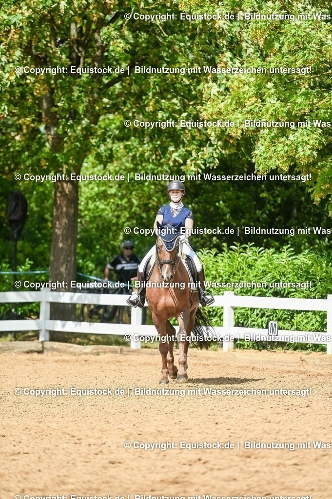 20230716_01_Dressurprüfung Kl.M_0353 | equistock