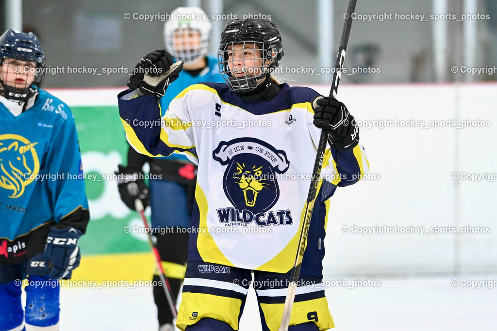 BST_6584 | hockey sports photos, Pressefotos, Sportfotos, hockey247, win 2day icehockeyleague, Handball Austria, Floorball Austria, ÖVV, Kärntner Eishockeyverband, KEHV, KFV, Kärntner Fussballverband, Österreichischer Volleyballverband, Alps Hockey League, ÖFB, 