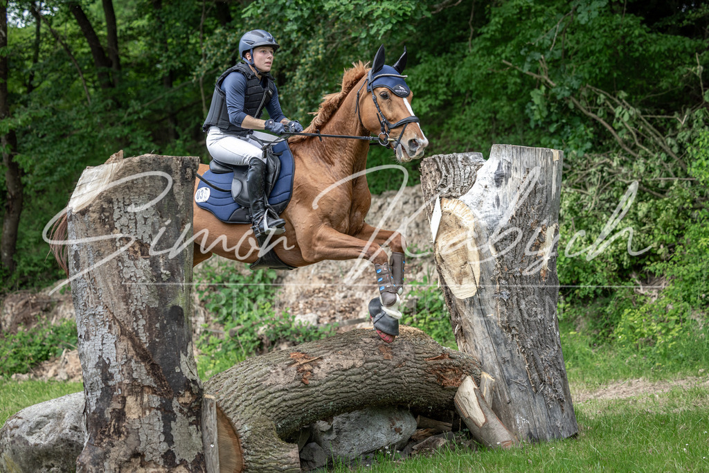 20260523-_3LI9743 | Tierfotografie Pferde, Hunde, Katzen, Haustiere.
Turnierfotografie Reitturniere, Reiten, Springreiten, Dressur in Hanau, dem Main-Kinzig-Kreis und dem Rhein-Main- Gebiet um Frankfurt