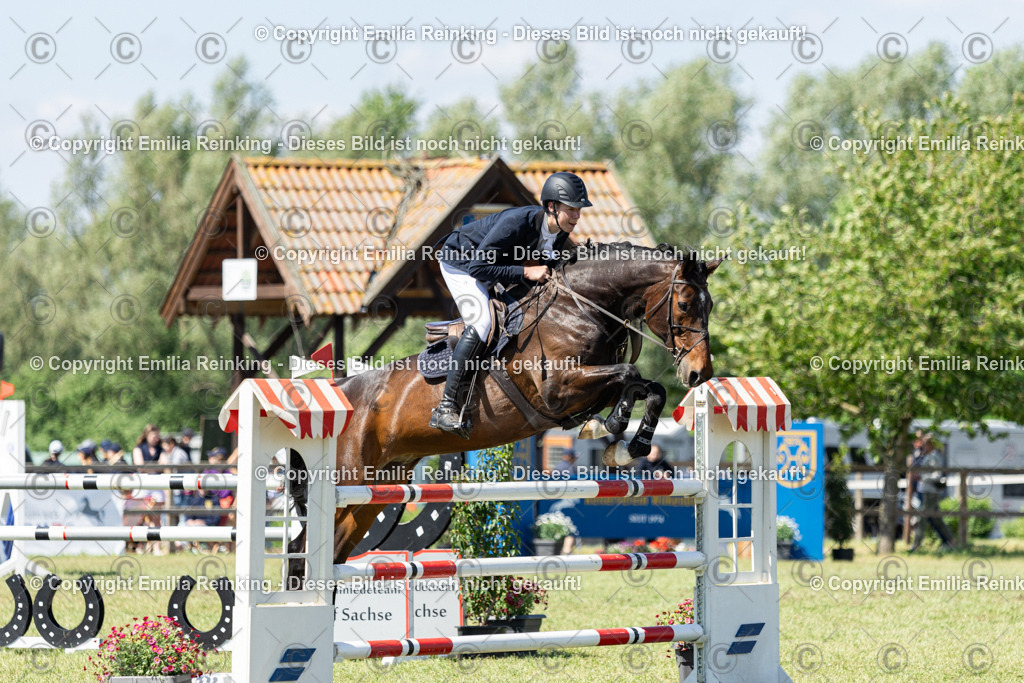 CL5A7958 | Emilia Reinking Fotografie - Realisiert mit Pictrs.com