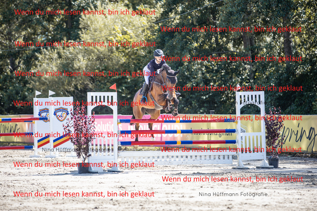 BK1A6937 | Turnierbilder Turnierfotos Nina Hüffmann Turnierfotografie Pferdefotografie Tierzeichnung Haustierzeichnung Pferdezeichnung Hundezeichnung Videograf  - Realisiert mit Pictrs.com