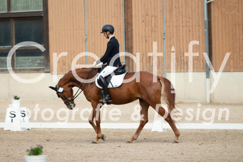 IMG_0558 | Creatify Fotografie