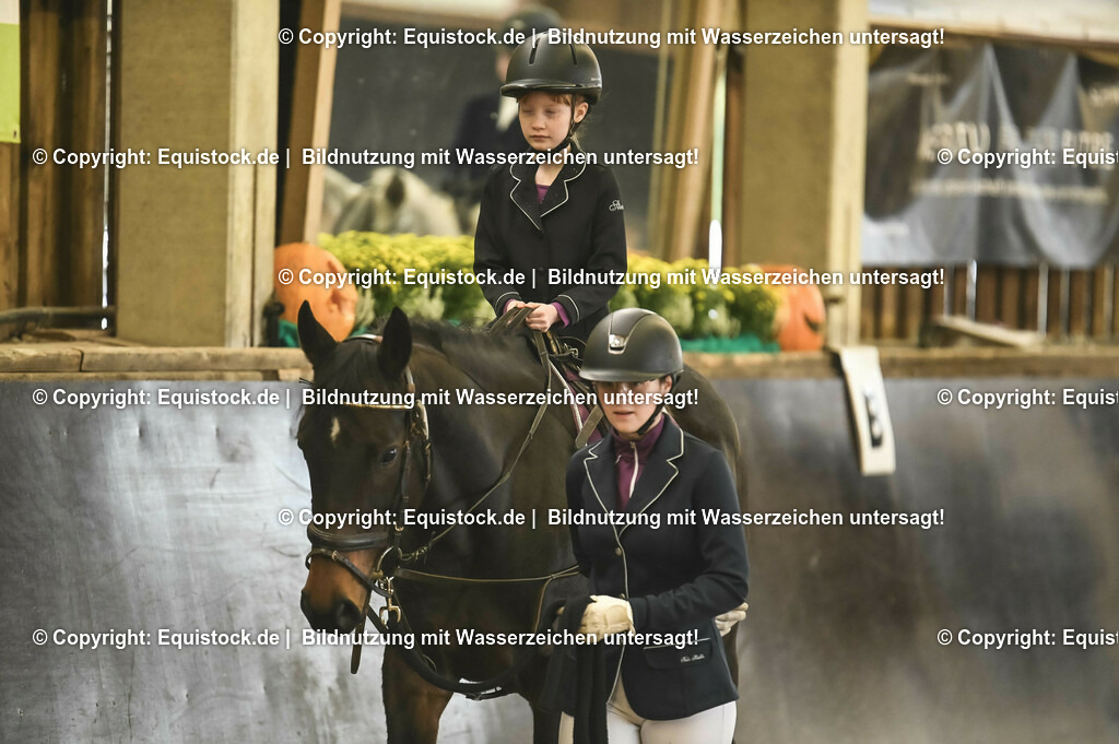 20231029_Führzügel-WB_Abteilung-01_0001 | Foto: Thomas Hartig