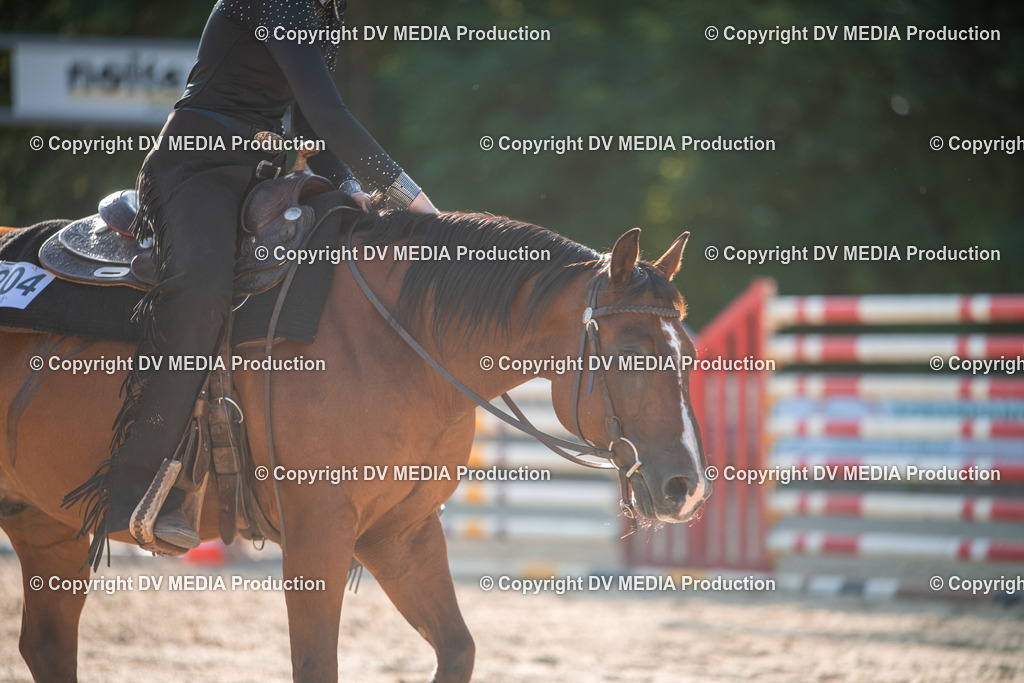 EWP_7129 | dv-media-shop - Realisiert mit Pictrs.com