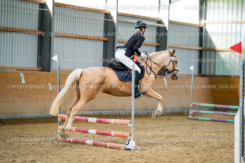 DSC00857 | Pferdegrafie