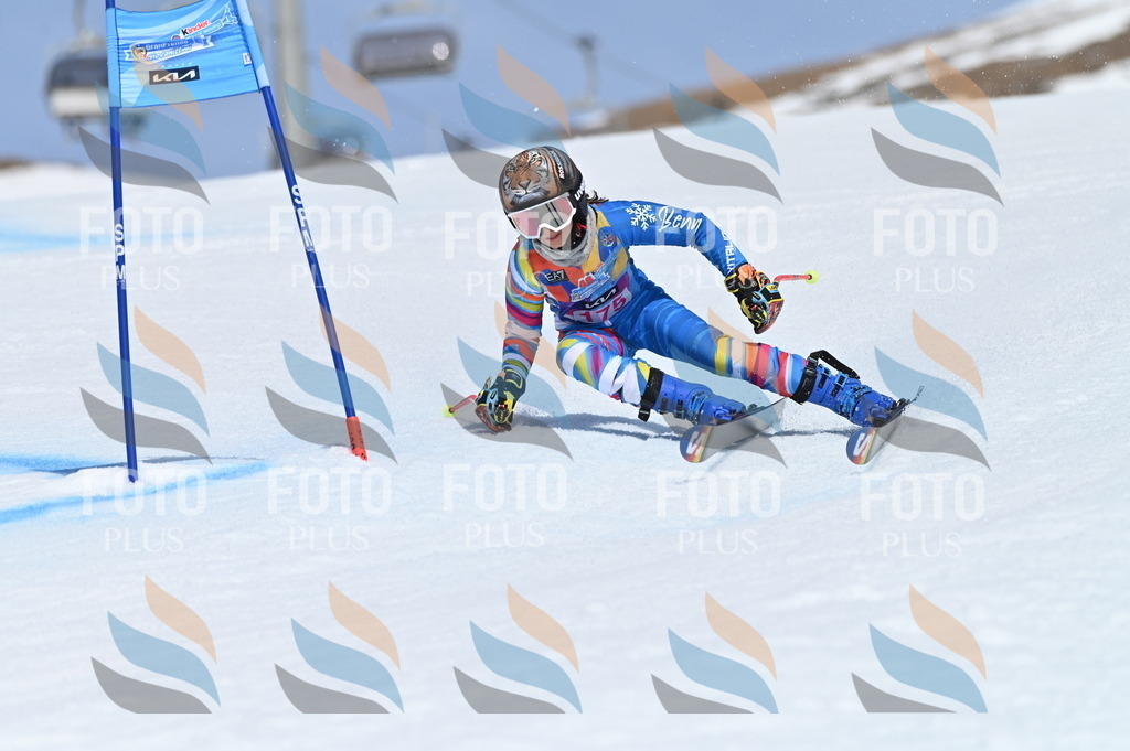 BGV_0524 | holidayphoto