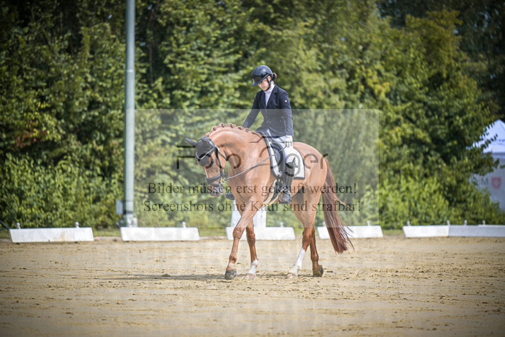 DOS_0011 | Entdecke hochwertige Reitturnierfotos von Foto Oger. Professionell, emotional und authentisch – jetzt Lieblingsmomente im Shop bestellen.Deutschlandweite Turnierfotografie. - Realisiert mit Pictrs.com