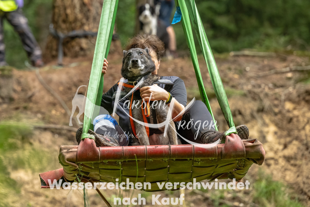 1244_ZZ91711-Bearbeitet | kk-dogfotos