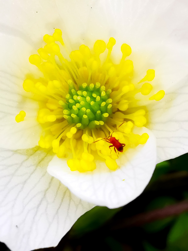 PSX_20230329_221400 | mtkfoto_ - Realisiert mit Pictrs.com