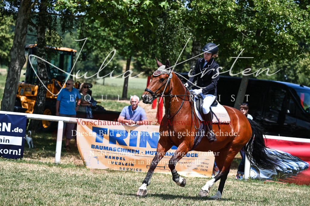 DSC_9887 | Pferde- und Turnierfotografie in Westsachsen. Pferdeportraits, Auftragszeichnungen und intuitive Kunst.