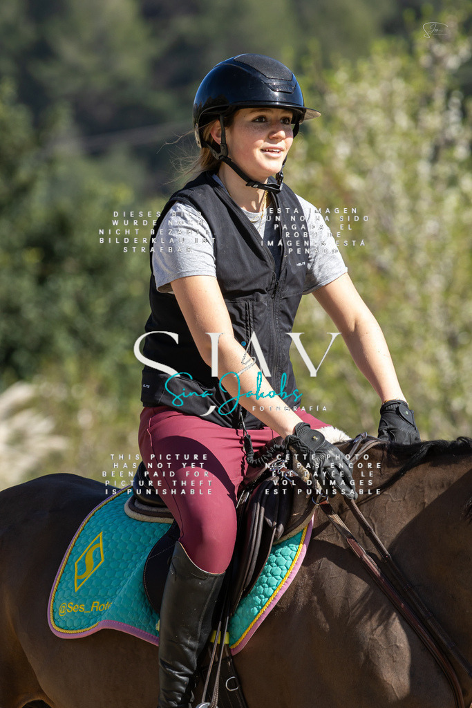 IMG_6577 | s-jay-photography - Realisiert mit Pictrs.com