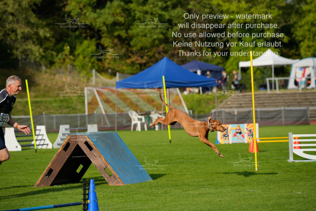 Samstag_CSC (1934 von 2023) | stephaniefillaphotographie - Realisiert mit Pictrs.com