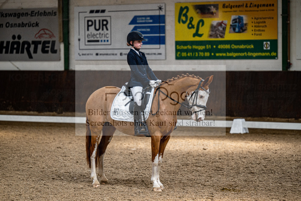20240310-DOS_0767 | Entdecke hochwertige Reitturnierfotos von Foto Oger. Professionell, emotional und authentisch – jetzt Lieblingsmomente im Shop bestellen.Deutschlandweite Turnierfotografie. - Realisiert mit Pictrs.com