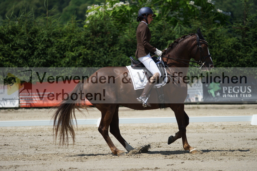 DSC05076 | equestrian-live-com