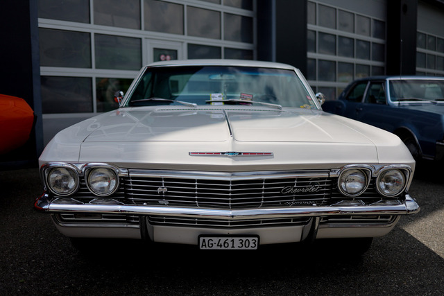 Calag_Oldtimer2025-21 | Ich fotografiere Hundeausstellungen, Sportanlässe, Zuchtstätten, Hundezucht, Hundeportrait, Lagotto - Realisiert mit Pictrs.com