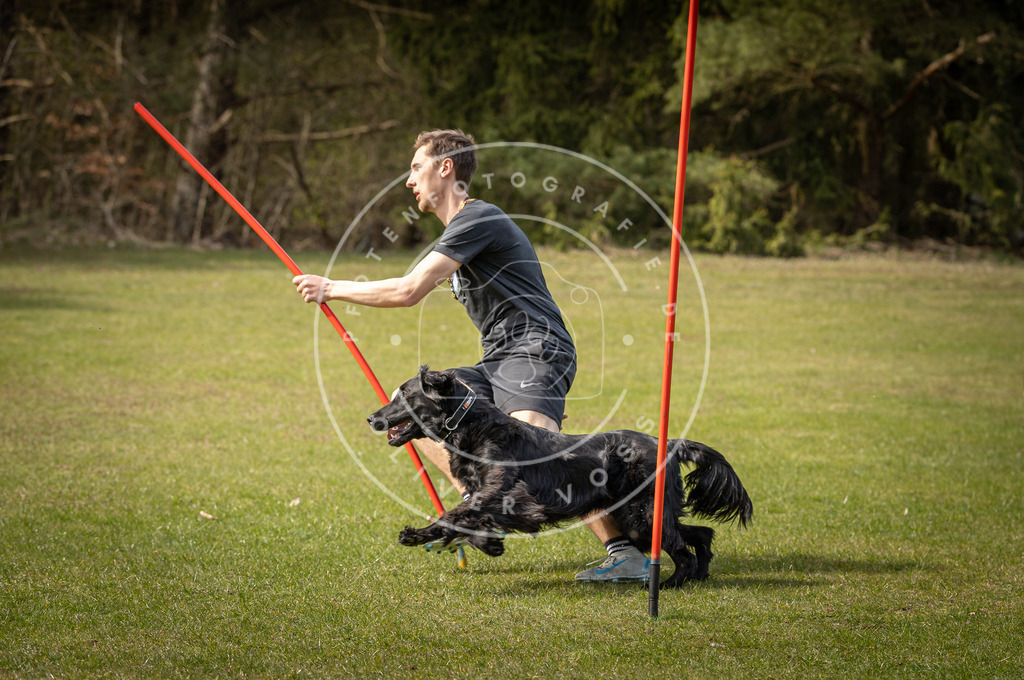 Pfotenfotografie_DV3A9775 | Hundefotografie, Tierfotograf, Pfotenfotografie, Fotoshooting Hund, Hunde Portrait, Hundesport, Hundeportraits, Heideshooting, Hunde, Sportfotograf, Hundefotograf, Turnierhundsport, THS,  - Realisiert mit Pictrs.com