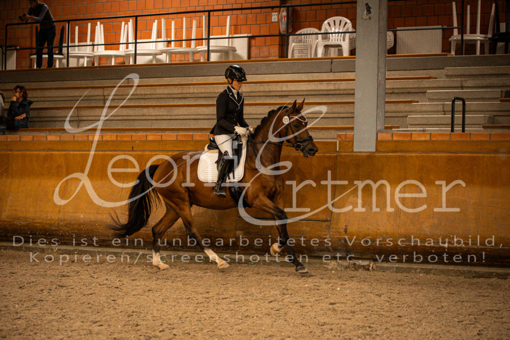 2Reiten00388 | Leoni Ertmer Photography - Realisiert mit Pictrs.com