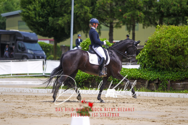 DKP40616 | Turniersportfotografie; Pferdefotografie; Dressurfotografie