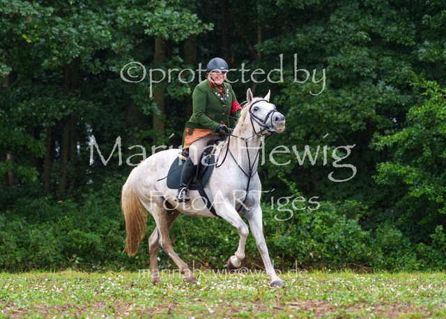 Jagd Perdoel 26 Sony-03545_MarinaHewig | Fotografie, FotoArt, PferdesportArt, Pferdesportfotografie, Landschaftsfotografie, Reisefotografie, Reise, Pferde - Realisiert mit Pictrs.com
