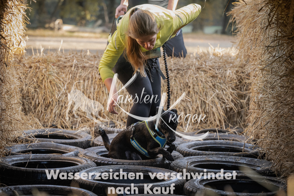 0956_ZZ95584 | kk-dogfotos