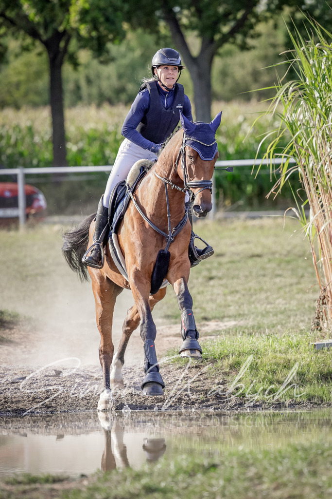 20250906-_3LI7775 | Tierfotografie Pferde, Hunde, Katzen, Haustiere.
Turnierfotografie Reitturniere, Reiten, Springreiten, Dressur in Hanau, dem Main-Kinzig-Kreis und dem Rhein-Main- Gebiet um Frankfurt