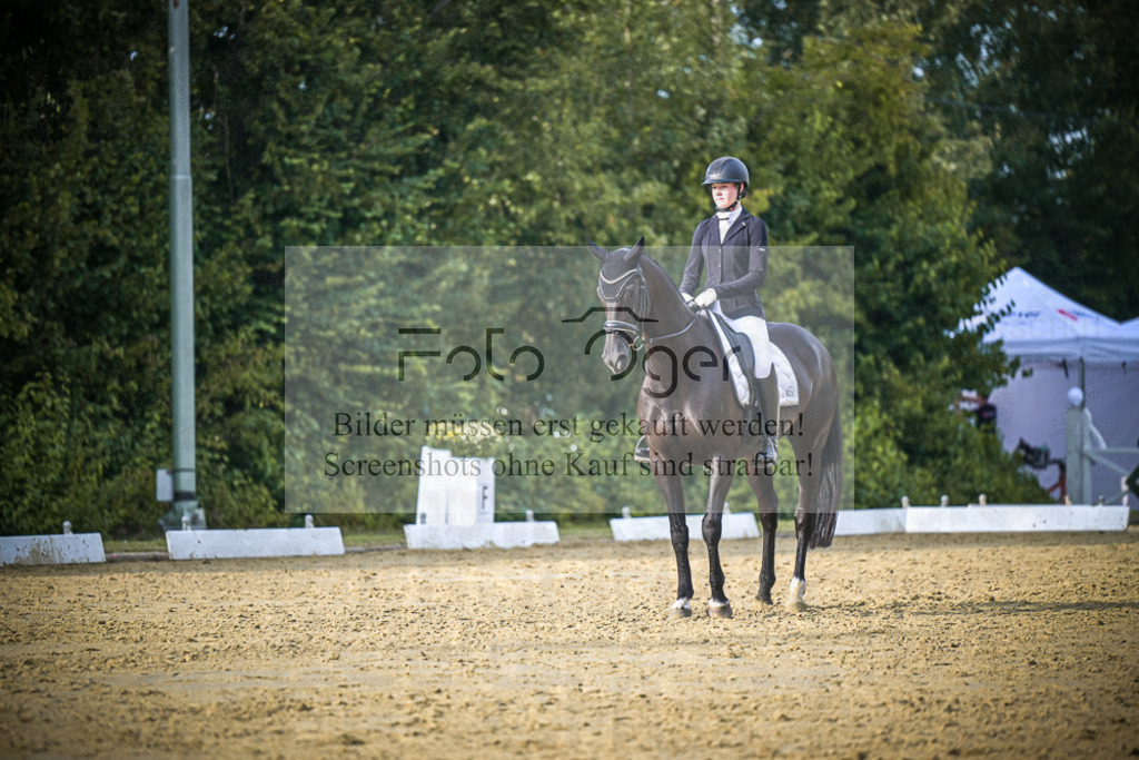 DOS_0761 | Entdecke hochwertige Reitturnierfotos von Foto Oger. Professionell, emotional und authentisch – jetzt Lieblingsmomente im Shop bestellen.Deutschlandweite Turnierfotografie. - Realisiert mit Pictrs.com