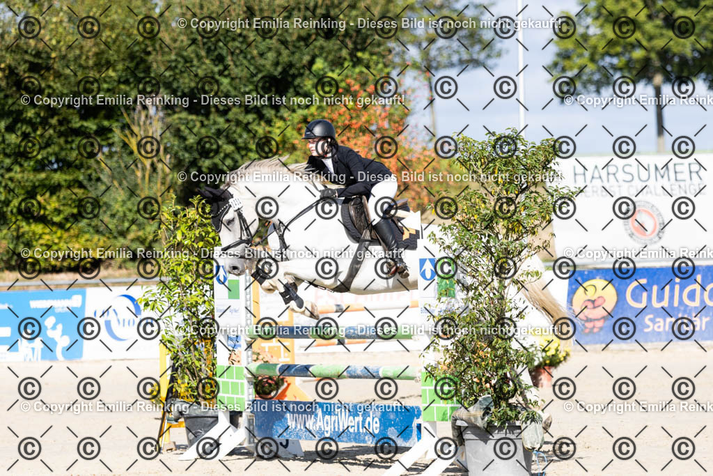 CL5A1466 | Emilia Reinking Fotografie - Realisiert mit Pictrs.com