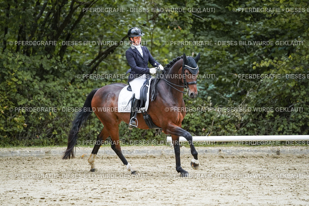 DSC00329 | Pferdegrafie