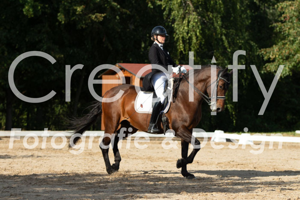 IMG_4946 | Creatify Fotografie