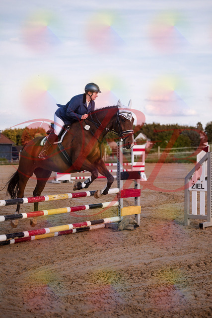 2026_10_03_Siefer-Hof_170340_Z81_00397178 | Professionelle Reitsport-, Turnier- und Eventfotografie von Robert Broda. Galerien mit ausgewählten und bearbeiteten Bildern direkt online ansehen und bestellen.